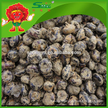 Wholesale bulk Chinese water chestnut for export price per ton